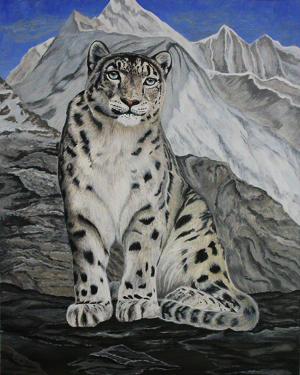Léopard des neiges