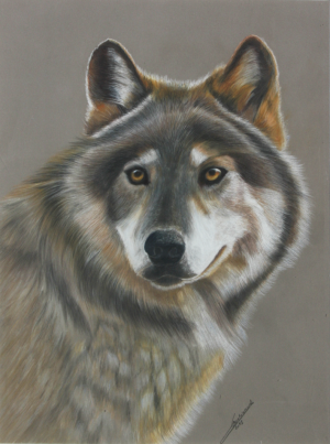 Loup