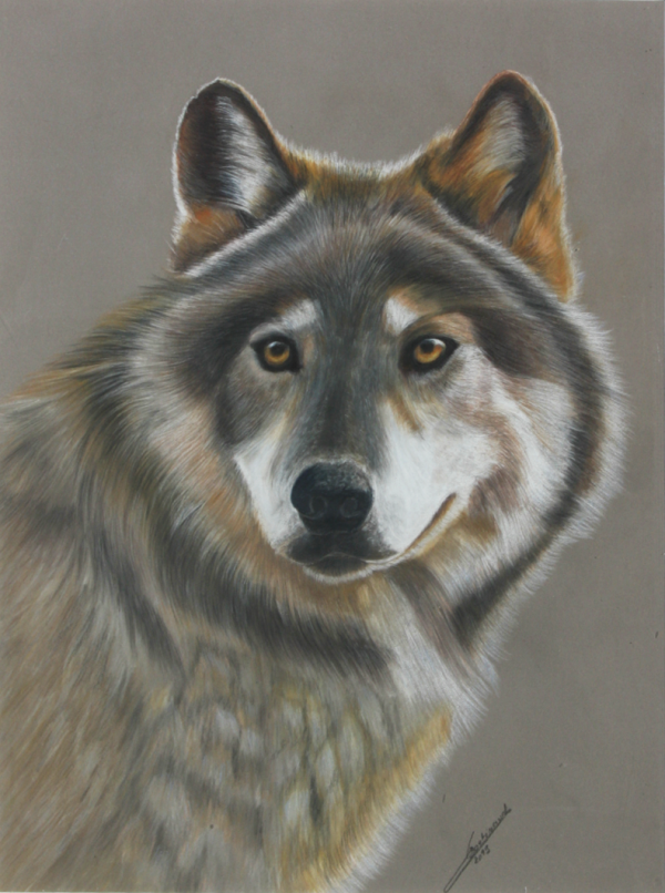 Loup